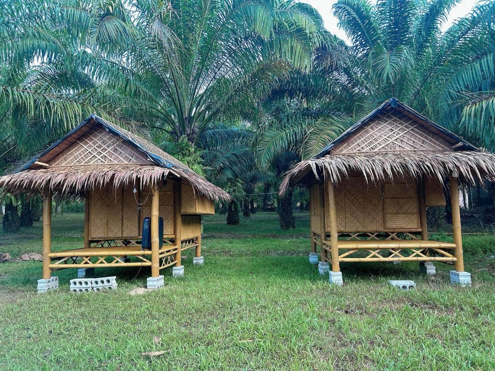 Khaosok August Freedom Camp Khao Sok National Park Exterior foto